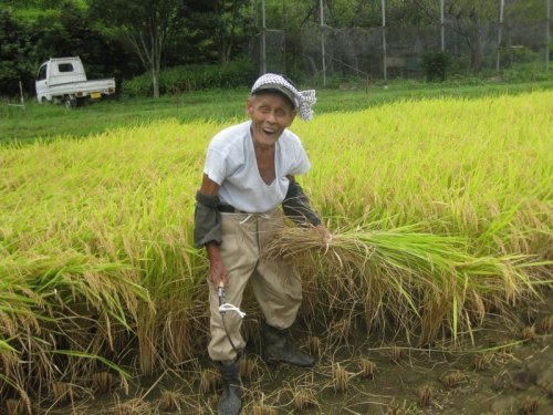 生産者の顔の見えるお米は｢安全・安心」！