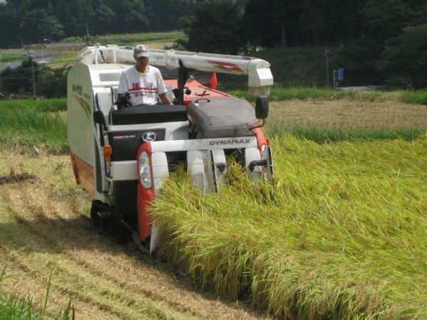 画像5: おかずを引き立てる　旨みバランスの良いお米 荒川さんちのコシヒカリ 10kg(７年産新米)【送料込み】
