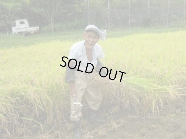 画像11: 天日干しでモチモチ食感  八幡さんちのコシヒカリ 10kg(６年産米) 【送料込み】