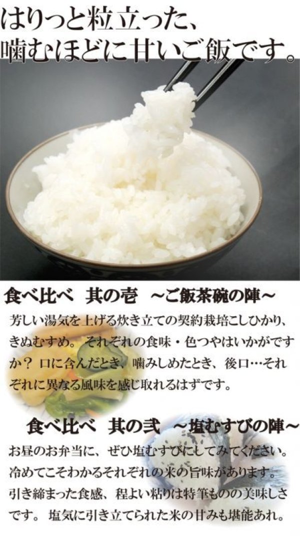 画像5: 【お試し】「コシヒカリ」と「つきあかり」食べ比べ（１kg×２種類）５年産米【送料込み】