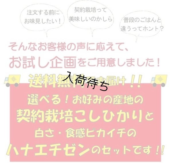 画像2: 【お試し】「コシヒカリ」と「つきあかり」食べ比べ（１kg×２種類）５年産米【送料込み】