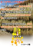 画像3: 農薬不使用 天日干し乾燥の仁多米 吉川さんちのコシヒカリ 5kg(５年産米)【送料込み】　