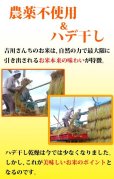 画像2: 農薬不使用 天日干し乾燥の仁多米 吉川さんちのコシヒカリ 5kg(５年産米)【送料込み】　 (2)