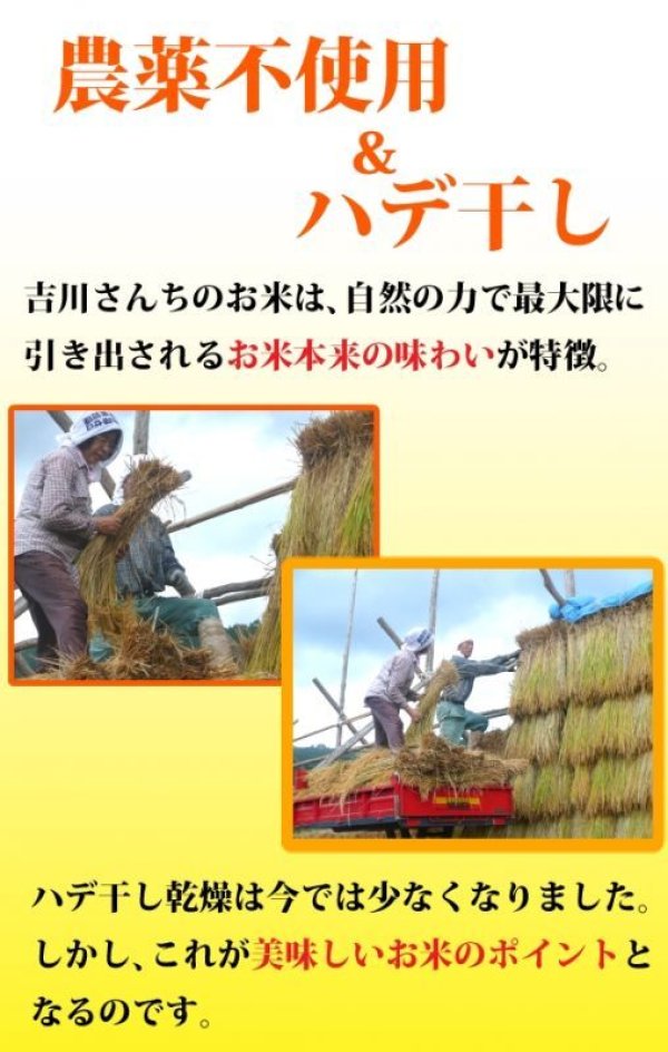 画像2: 農薬不使用 天日干し乾燥の仁多米 吉川さんちのコシヒカリ 5kg(５年産米)【送料込み】　