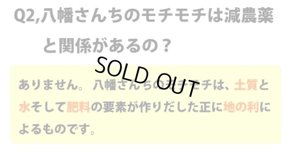 画像5: 天日干しでモチモチ食感  八幡さんちのコシヒカリ 10kg(６年産米) 【送料込み】