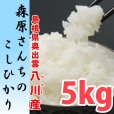 画像1: 濃厚な味わいの仁多米 森原さんちのコシヒカリ 5kg(５年産米)【送料込み】　 (1)