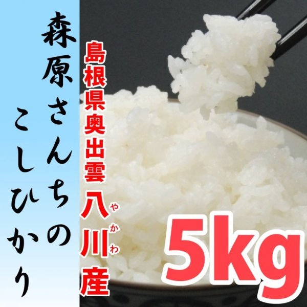 画像1: 濃厚な味わいの仁多米 森原さんちのコシヒカリ 5kg(５年産米)【送料込み】　
