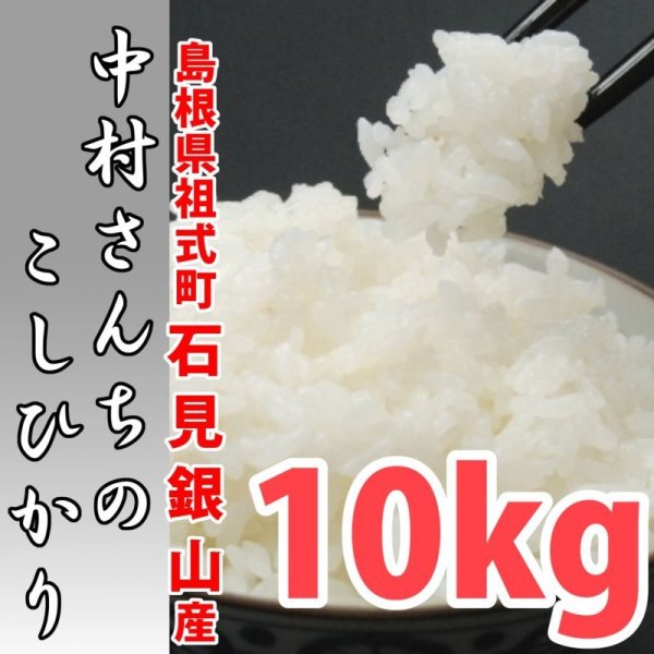 画像1: 深みのある味わい米 中村さんちのコシヒカリ 10kg(５年産米)【送料込み】