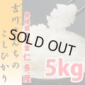 農薬不使用 天日干し乾燥の仁多米 吉川さんちのコシヒカリ 5kg(６年産米)【送料込み】　