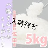 天日干しでモチモチ食感 八幡さんちのコシヒカリ 5kg(７年産新米)【送料込み】