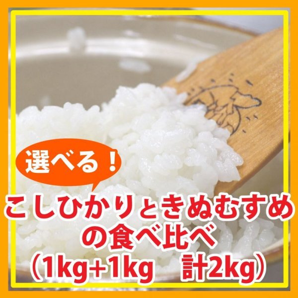 画像1: 【お試し】「コシヒカリ」と「きぬむすめ」食べ比べ（１kg×２種類）５年産米【送料込み】