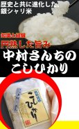 画像3: 深みのある味わい米 中村さんちのコシヒカリ 5kg(５年産米)【送料込み】