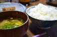 画像7: 深みのある味わい米 中村さんちのコシヒカリ 10kg(５年産米)【送料込み】