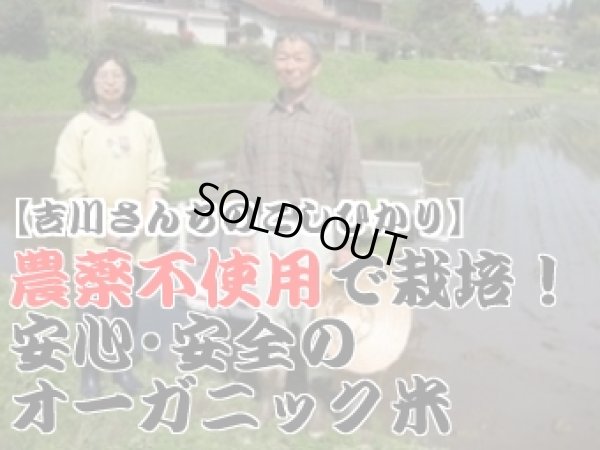 画像2: 【ギフト】契約栽培米コシヒカリ2kg詰め合せ（２kg×５種類）５年産米【送料込み】