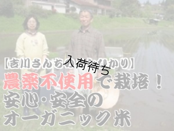 画像2: 【ギフト】契約栽培米コシヒカリ2kg詰め合せ（２kg×５種類）５年産米【送料込み】