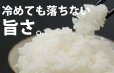 画像3: 【ギフト】仁多米食べ比べセット6kg（２kg×３種類）５年産米【送料込み】 (3)