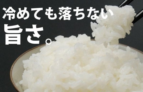 画像3: 【ギフト】仁多米食べ比べセット6kg（２kg×３種類）５年産米【送料込み】