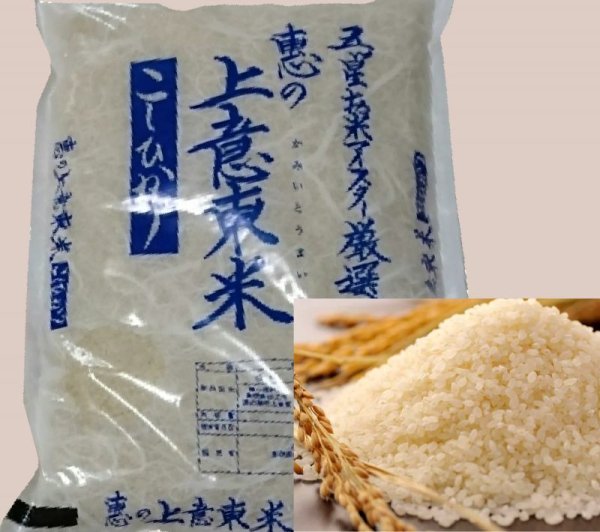 画像1: 【松江市特産】エコ栽培米コシヒカリ5kg（５年産米）【送料込み】