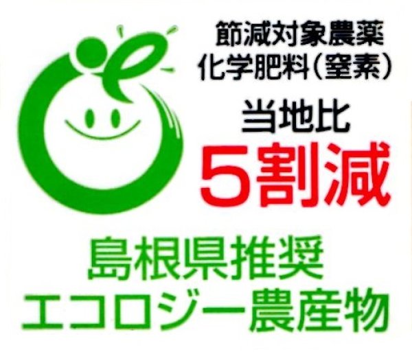 画像2: 【松江市特産】エコ栽培米コシヒカリ5kg（５年産米）【送料込み】