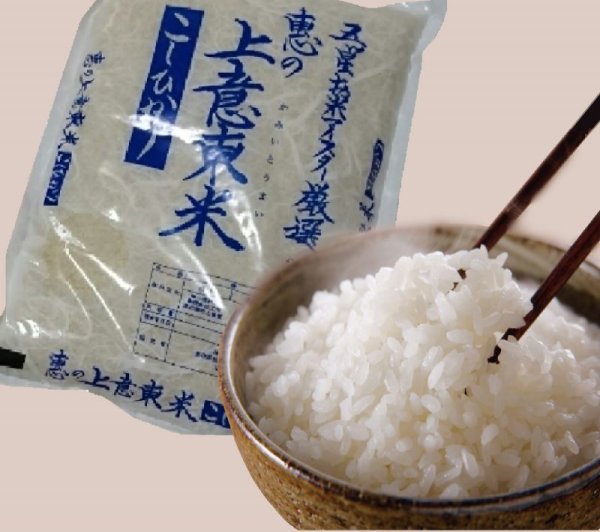 画像8: 【松江市特産】エコ栽培米コシヒカリ5kg(7年産新米)【送料込み】