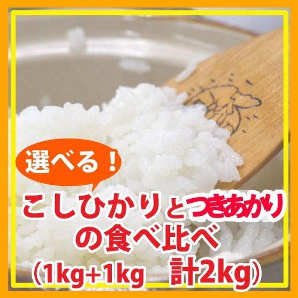 画像1: 【お試し】「コシヒカリ」と「つきあかり」食べ比べ（１kg×２種類）５年産米【送料込み】