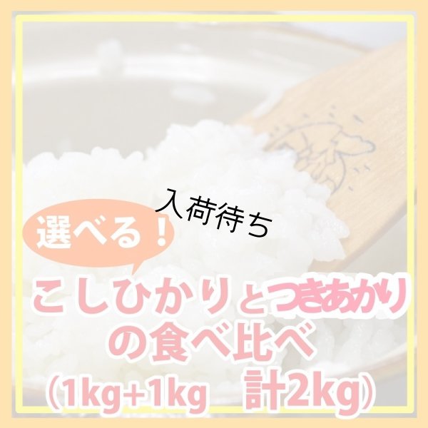 画像1: 【お試し】「コシヒカリ」と「つきあかり」食べ比べ（１kg×２種類）５年産米【送料込み】