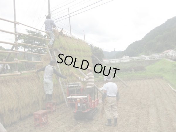 画像10: 天日干しでモチモチ食感  八幡さんちのコシヒカリ 10kg(６年産米) 【送料込み】