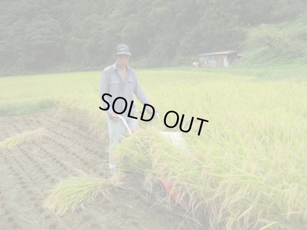 画像9: 天日干しでモチモチ食感  八幡さんちのコシヒカリ 10kg(６年産米) 【送料込み】