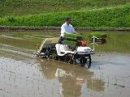 画像: 田植えを「見学・体験」しませんか！