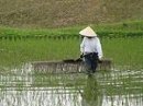 画像: 今日６月１０日は、「無添加の日」！