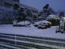 画像: やっとの初雪で・初積雪に大喜び！