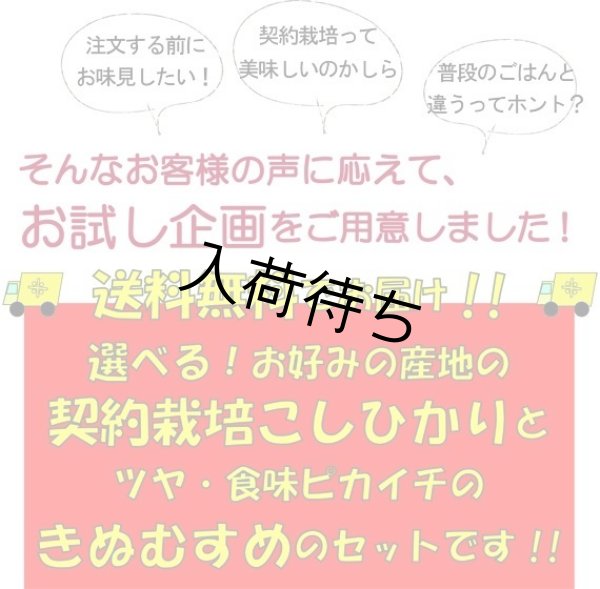 画像2: 【お試し】「コシヒカリ」と「きぬむすめ」食べ比べ（１kg×２種類）５年産米【送料込み】