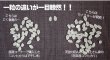 画像3: 充足感抜群 天空圃場の仁多米 井上さんちのコシヒカリ 5kg(５年産米）【送料込み】