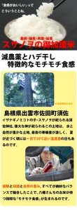 画像3: 天日干しでモチモチ食感  八幡さんちのコシヒカリ 10kg(６年産新米) 【送料込み】