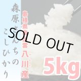 画像: 濃厚な味わいの仁多米 森原さんちのコシヒカリ 5kg(６年産米)【送料込み】　