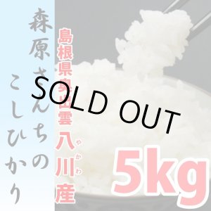 画像: 濃厚な味わいの仁多米 森原さんちのコシヒカリ 5kg(６年産米)【送料込み】　