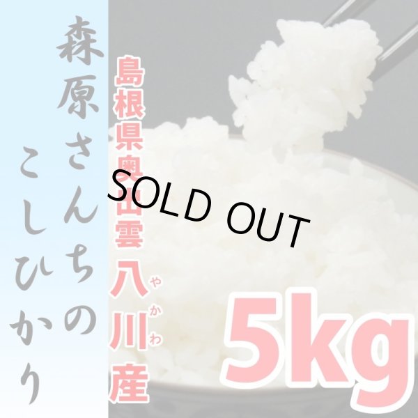 画像1: 濃厚な味わいの仁多米 森原さんちのコシヒカリ 5kg(６年産米)【送料込み】　