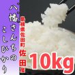 画像1: 天日干しでモチモチ食感  八幡さんちのコシヒカリ 10kg(６年産新米) 【送料込み】