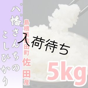 画像: 天日干しでモチモチ食感 八幡さんちのコシヒカリ 5kg(7年産新米)【送料込み】