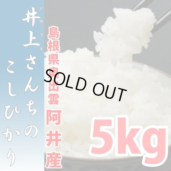 画像1: 充足感抜群 天空圃場の仁多米 井上さんちのコシヒカリ 5kg(６年産米）【送料込み】