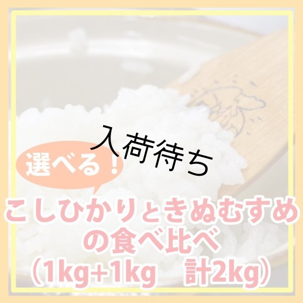 画像1: 【お試し】「コシヒカリ」と「きぬむすめ」食べ比べ（１kg×２種類）５年産米【送料込み】