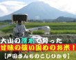 画像3: 【ギフト】契約栽培米コシヒカリ2kg詰め合せ（２kg×５種類）５年産米【送料込み】