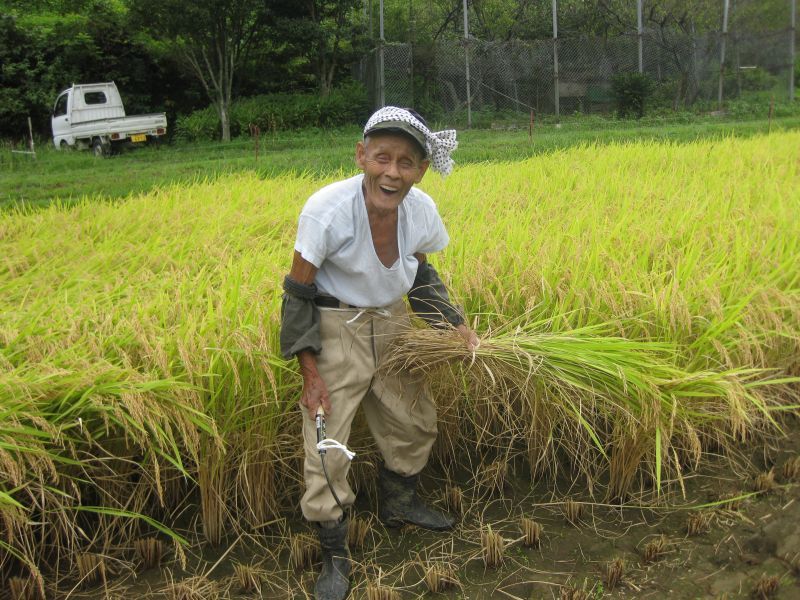 画像: 生産者の顔の見えるお米は｢安全・安心」！