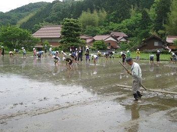 画像: 小学生が田植えに挑戦！