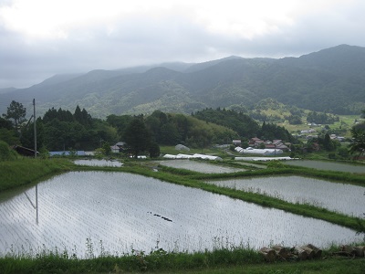 画像: 比田の棚田での田植え！