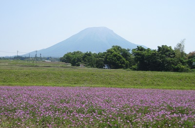 画像: 大山をバックに田植え！