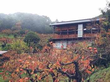 画像: 東出雲町上意東集落は、奥出雲に負けない原風景！