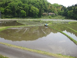 画像: 石見銀山を抜けて田植えへ！