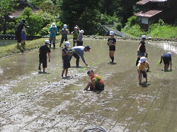 画像: 裸足になれない、初めての「田植え」体験！